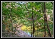 More of Tract 10 - Longhenry Ponds
