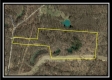 More of Tract 10 - Longhenry Ponds