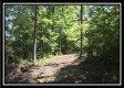 More of Tract 7 - The Woods at Wheelabout Creek