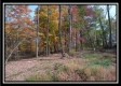 Tract 12 - Longhenry Ponds property photo
