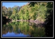 Tract 13 - Longhenry Ponds property photo