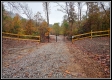 More of Tract 1 - Demazie Hollow on Shawnee Forest