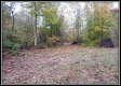 More of Tract 1 - Demazie Hollow on Shawnee Forest