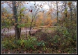 Tract 1 - Demazie Hollow on Shawnee Forest property photo