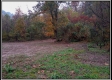 More of Tract 2 - Demazie Hollow on Shawnee Forest
