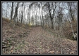 More of Hunter Retreat