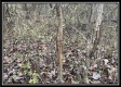 More of Hunter Retreat