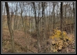 Hunter Retreat property photo