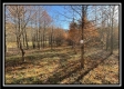 More of The Cabin on Mans Fork Creek