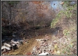 More of Tract 3 with Camper - Demazie Hollow on Shawnee State Forest