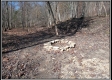 More of Tract 3 with Camper - Demazie Hollow on Shawnee State Forest
