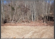Tract 3 with Camper - Demazie Hollow on Shawnee State Forest property photo