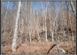 Tract 5 - Demazie Hollow on Shawnee State Forest property photo