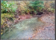More of Tract 10 - Demazie Hollow on Shawnee State Park