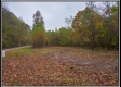 More of Tract 10 - Demazie Hollow on Shawnee State Park