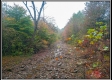 Tract 10 - Demazie Hollow on Shawnee State Park property photo