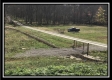 More of Tract 1 - The Woods at Wheelabout Creek