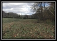Tract 1 - The Woods at Wheelabout Creek property photo