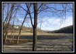 More of Tract 15 - w/ Shelter House on Wheelabout Creek