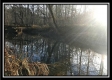 More of Tract 15 - w/ Shelter House on Wheelabout Creek