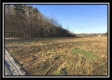 Tract 15 - w/ Shelter House on Wheelabout Creek property photo