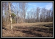 Tract 16 - Longhenry Ponds property photo