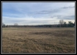 More of Tract 3A - Howard Rd Estates