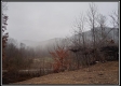 More of Tract 6 - Demazie Hollow