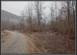 More of Tract 6 - Demazie Hollow