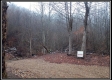 More of Tract 6 - Demazie Hollow
