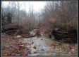 Tract 6 - Demazie Hollow property photo