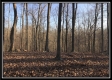 Tract 1 - SR 139 Farm property photo