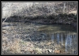 More of Tract 3 - SR 139 Farm