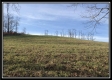 More of Apple Ridge