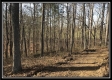 More of Apple Ridge