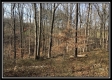 Apple Ridge property photo