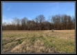 More of Tract 3C - Howard Rd Estates