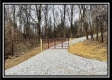 More of The Retreat Cabin at Pear Orchard - Tract 6