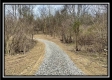 More of Tract 9 - The Woods at Pear Orchard