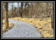 Hunters Cabin at Pear Orchard - Tract 8 property photo