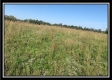 Tract 7 - Union Pastures property photo