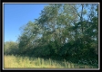 Tract 7 - Union Pastures property photo