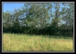 Tract 7 - Union Pastures property photo