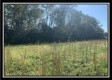 Tract 7 - Union Pastures property photo