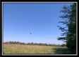 More of Tract 7 - Union Pastures