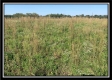 Tract 7 - Union Pastures property photo