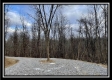 More of Tract 4 - The Woods at Pear Orchard