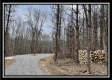 Tract 4 - The Woods at Pear Orchard property photo