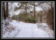 Hidden Cabin in the Woods property photo