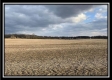 More of Tract 3 - Darby Farm at Scottslawn 